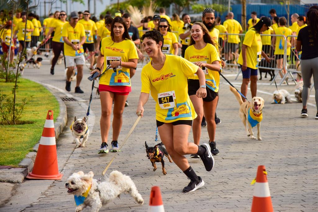 454585 1162644 2024cachorrida web