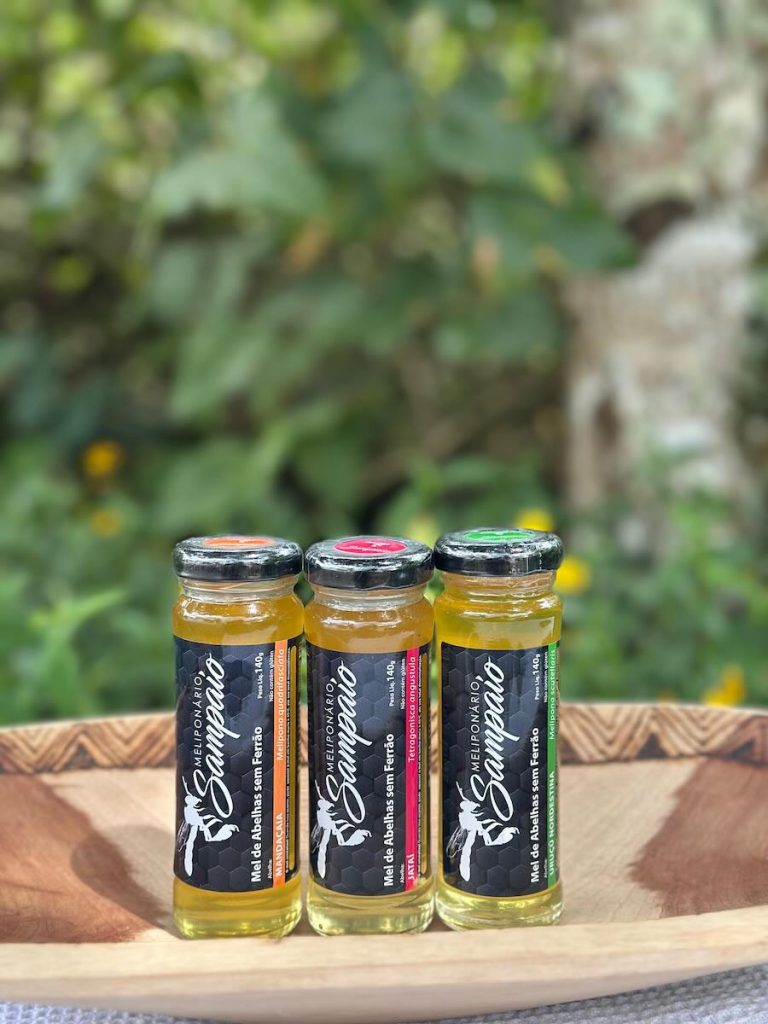 Mel de abelhas nativas: energia natural para quem corre