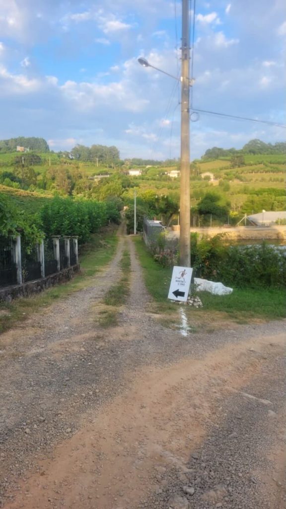 VINHO COLUCCI 05