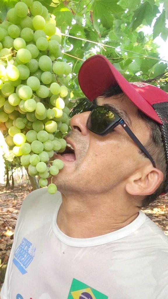 VINHO COLUCCI 13